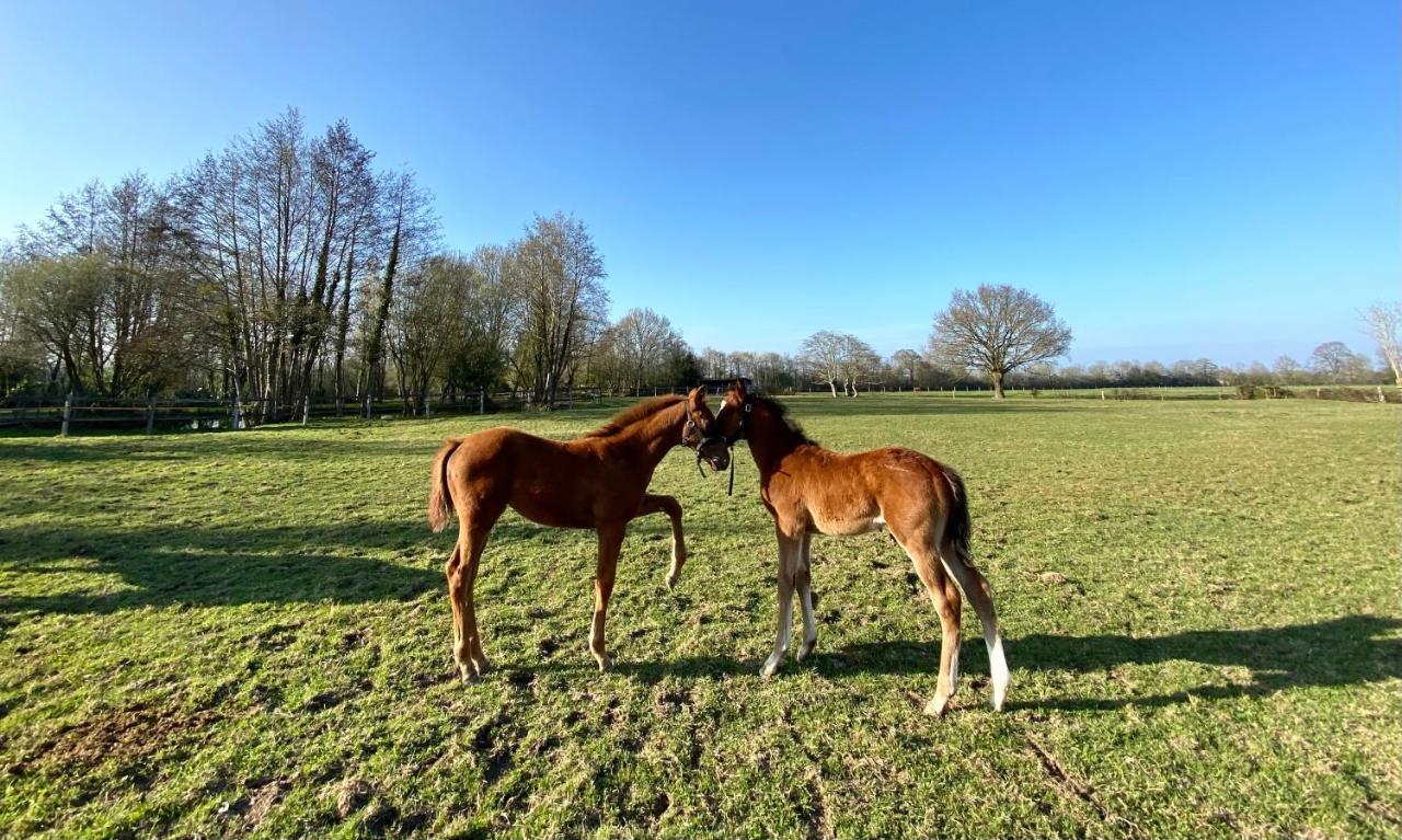 La Longere Du Haras Apartamento *