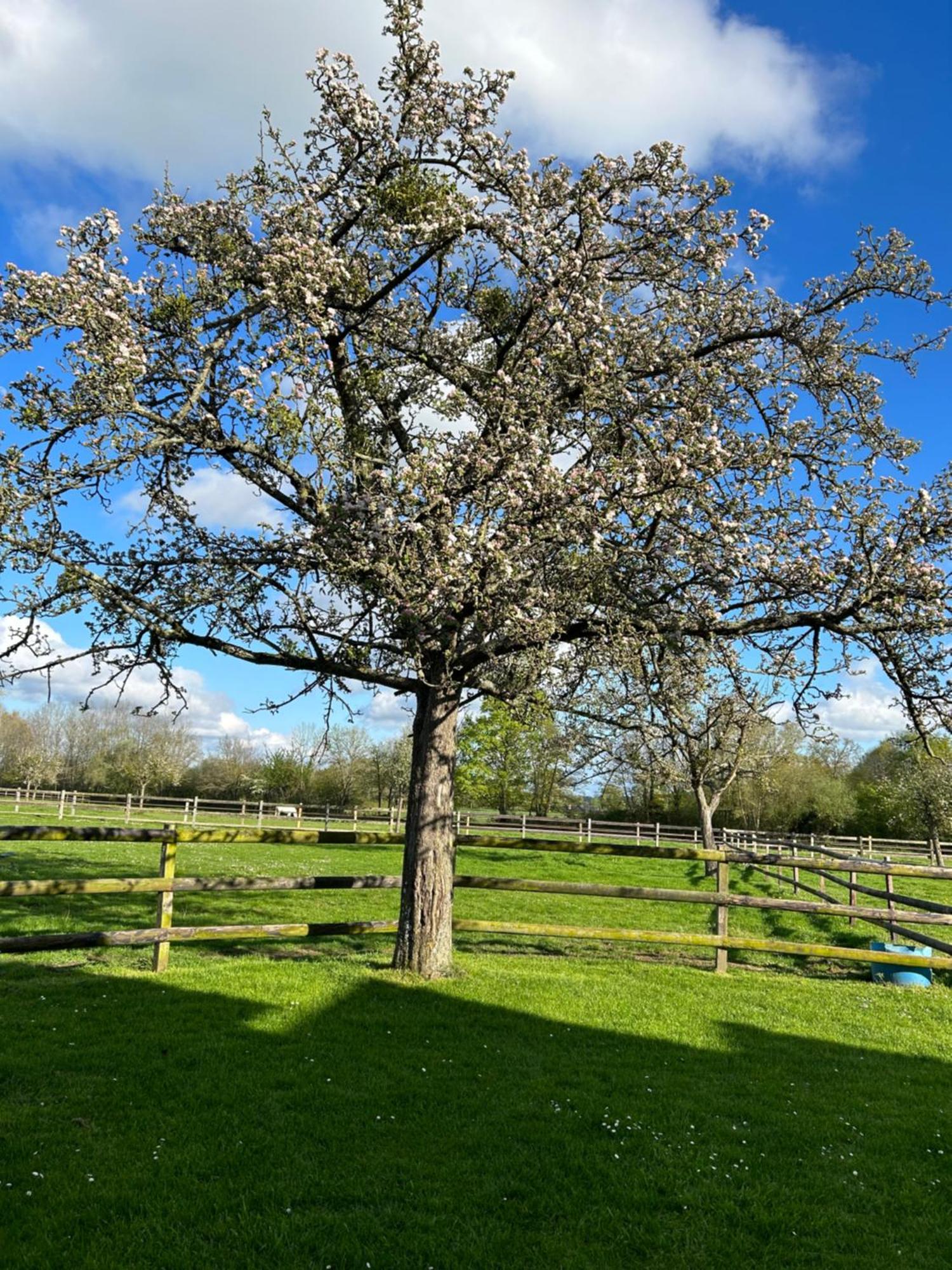 Apartamento La Longere Du Haras *