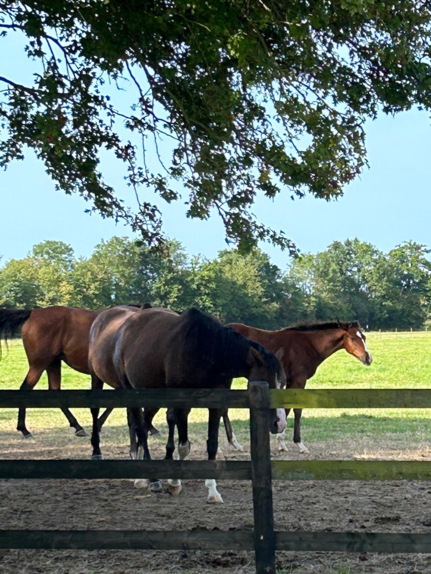 La Longere Du Haras Apartamento Manerbe